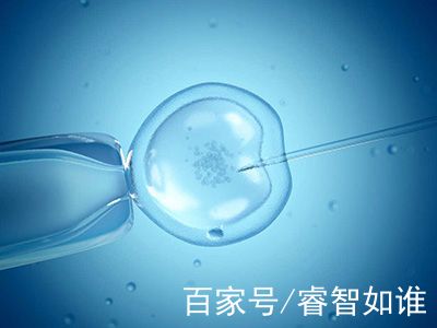 代生供卵公司